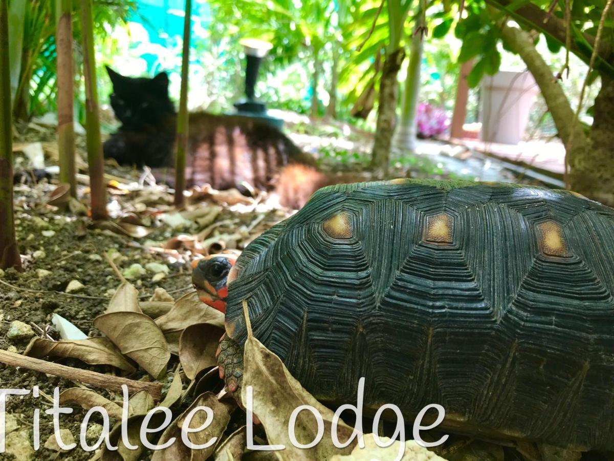 Titalee Lodge 3 Villas Autour D'Une Piscine Saint-Francois  Luaran gambar